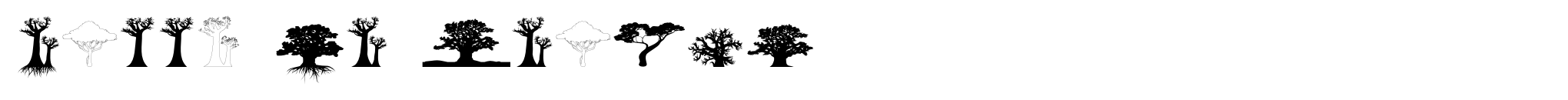 Bäume von Afrika Bild